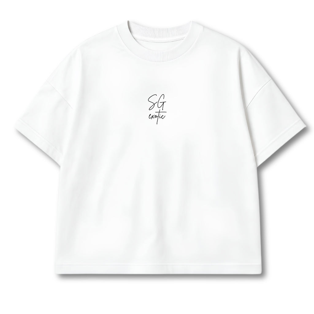 Remera Boxy (Logo bordado + diseño espalda estampado)