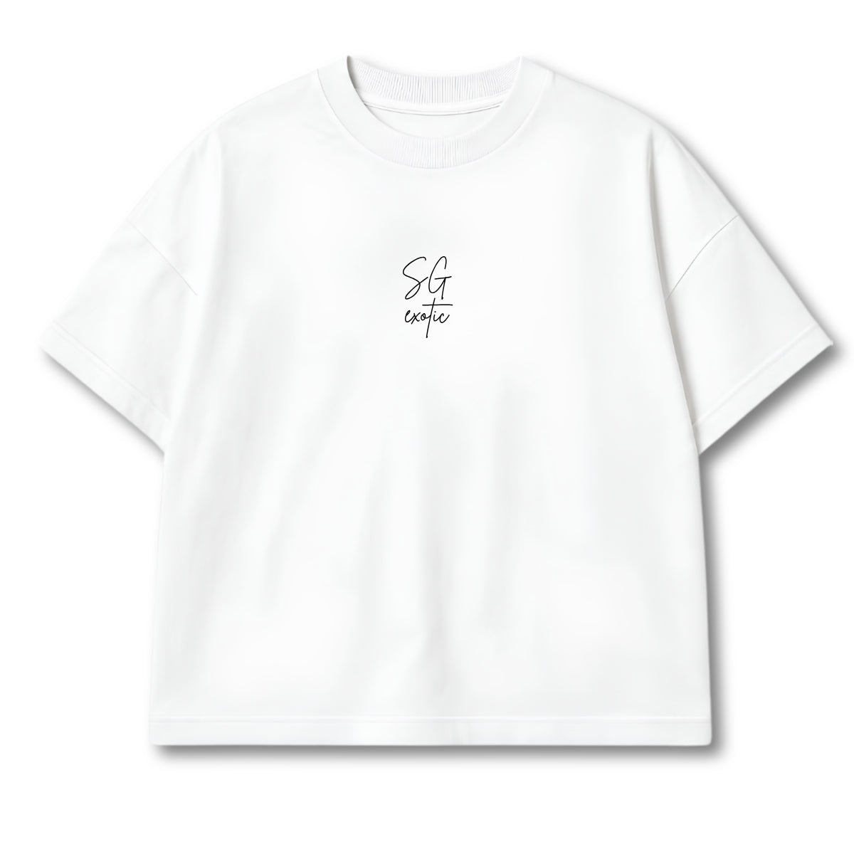 Remera Boxy (Logo bordado + diseño espalda estampado)